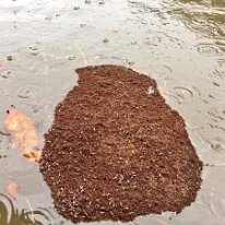 518339447_10019160941473075_2777588335675302315_n