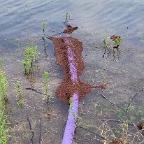 518373552_10019180201471149_2189519343934420312_n