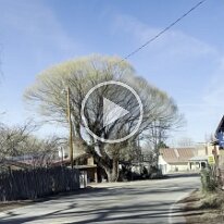2026-02-27 10.14.36